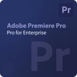 Adobe Premiere - Edition 4 for enterprise 1 - 9 User (65324945CA01A12)