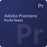 Adobe Premiere Pro for Teams EDU 50 - 99 User (30002081CB03A12)