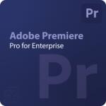 Adobe Premiere Pro for Enterprise EDU 100+ User (30002087CB04A12)