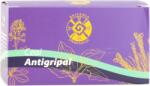 Spiteria Vraciului Ceai Antigripal Natural - Remediu Tradițional pentru Răceală și Gripă (266906180)