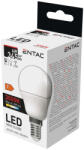 Entac LED Mini Globe E14 4W WW 3000K - atadcleankft