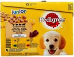 PEDIGREE alutasak kölyök kutyáknak vegyes válogatás vagdalttal 12x100g