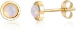 JwL Luxury Pearls Aranyozott ezüst fülbevaló opállal JL0615