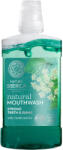 Natura Siberica Természetes szájvíz 7 Szibériai gyógynövénnyel és cinkkel (Natural Mouthwash) 520 ml