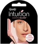 Wilkinson Sword Cserélhető fej a szőrtrimmerhez Intuition DermaGlow 3 db
