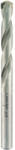 Alpen Burghiu zidărie Alpen Ø12x600 mm Long Life (61701200100) Burghiu