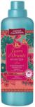 Tesori d'Oriente Tesori d´Oriente Ayurveda - balsam de rufe 760 ml