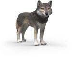 Schleich Lup american (OLP102614991) Figurina