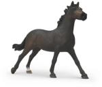 Schleich Iapă pursânge engleză (OLP102614914) Figurina
