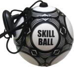  MINI Minge de fotbal de antrenament (SK42LU-0969-21A)