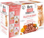 Brit 24x85g Brit Care Cat filék szószban nedves macskatáp vegyes csomagban