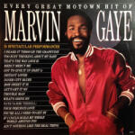 Marvin Gaye - Every Great Motown Hit Of Marvin Gaye: 15 Spectacular Performances (LP) (602508498701)