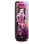 Monster High Papusa cu accesorii, Monster High, Draculaura, HKY74 Papusa