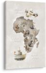 Dovido Tablou animale africane și avion - 80x120