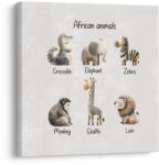 Dovido Tablou animale africane - 50x50