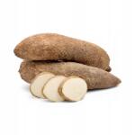  Torma Yam (Friss) (5905771121969)