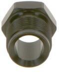 Bosch Șurub olandez, ștuț țeavă de presiune (duză de injecție) BOSCH F 00R J00 437 (F 00R J00 437)