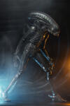NNM фигурка Alien - 1979 - 40th Anniversary Big Chap - NECA51598