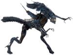 NNM декорация (фигурка) Alien - Ultra Deluxe Action Figure Xenomorph Queen - NECA51385
