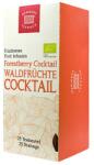 DEMMERS TEEHAUS Ceai Forestberry Cocktail - Demmers Quick-t