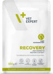VetExpert Veterinary Diet Recovery tasak macskáknak 100 g KARTON - 12 db