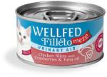 WELLFED Гурме за котки Wellfed Filleto Meze Urinary Aid, 70 гр