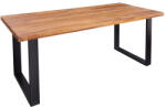 Invicta interior Masa dining dreptunghiulara Iron Craft cu blat din lemn de Sheesham, 200 cm (39870)