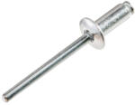 Topmaster Professional Pop-nituri 4x10mm 50buc TMP HardWork ToolsRange (511150) Cleste