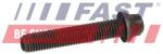 FAST Surub biela FAST FT05135 (FT05135)