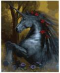 Twoje Hobby Színezés Számok Alapján Fekete Egyszarvú 40X50CM (GX43571)