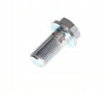 Triscan Üreges csavar m10x1, 13x 27, 2 mitsubishi 81053259 Triscan (8105 3259)