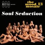 V/A Mood Mosaic 13 - Soul Seduction