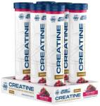Applied Nutrition Creatine Monohydrate Effervescent Tablets, Mixed Berry - 6 x 16 tabs