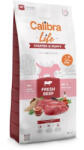 Calibra Dog Life Starter & Puppy Fresh Beef kutyatáp 12 kg + Calibra Joy Dog Classic Lamb Strips 80g