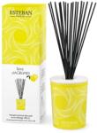 Esteban difuzor de arome Terre d'Agrumes 100 ml 99KK-SIU00R_MLC (TEA.002)