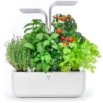 Véritable gradină de casă autonomă Smart 33 × 18, 5 x 45 cm 99KK-EGU0KG_90X (VPOT.BAWIG.EU2.159)