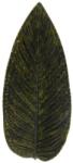 Costa Nova farfurie de servire Riviera Strelizia 40 cm 99KK-KBU773_78X (VEA401.FRT) Tava