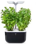Véritable gradină de casă autonomă Exky Smart 20 × 18 cm 99KK-EGU1IY_99X (VEXK.SSBAS.EU2.163)