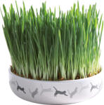 TRIXIE castron ceramic pentru iarbă pentru pisici (aprox. 50 g) (42341)