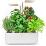 Véritable gradină de casă autonomă Connect 33 × 18, 5 x 45 cm 99KK-EGU0KA_18X (VPOT.BAWMG.EU2.160)