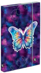 KARTON P+P Füzetbox OXY A/5 Butterfly (5-69025) - mystock