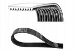 Dayco Többhornyú Szíj Dayco 10PK1400HD