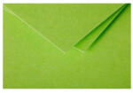 Clairefontaine Boríték Clairefontaine Pollen 9x14 cm szilikonos zöld - suplix