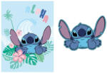  Disney Lilo és Stitch, A csillagkutya Aloha Belly coral fleece takaró és forma párna szett (EKING0800)