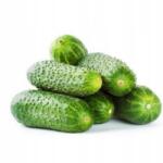  Friss Lengyel Mezei Uborka 1KG (24)
