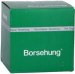 Borsehung Féktárcsa Skoda Fab/oct (256X22MM) Bor(o. e. Minőség)