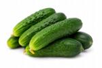  Földi uborka Friss Lengyel 1KG Kis sós és savanyú szüret 2026