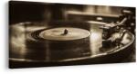 Dovido Tablou disc de gramofon vintage - 140x70