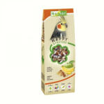  Nestor Eledel Közepes Méretű Papagájnak Gyümölcs+Magok 700ml 430gr - jozsapet