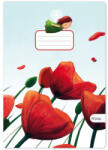 Aperta Caiet Aperta, Poppies, A5, 24 file, 90g, Tip 2 - Set 5 (CAI362)